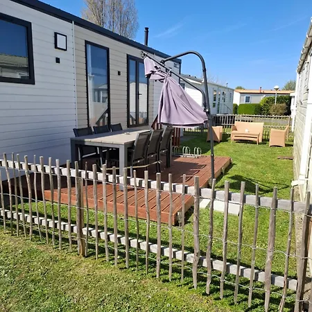Seepferdchen Bredene